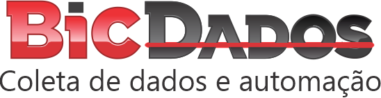 bicdados.com.br