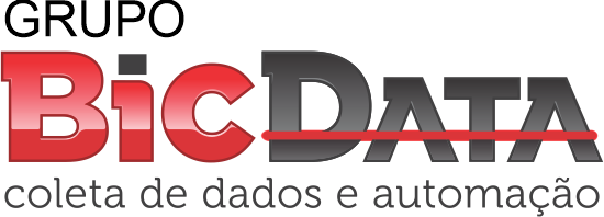 BicData logo
